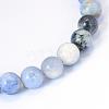 Natural Sodalite Round Bead Strands G-E334-10mm-08-2