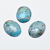 Regalite/Imperial Jasper/Sea Sediment Jasper Cabochons G-E464-42G-1