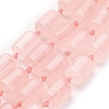 Natural Rose Quartz Beads Strands G-L634-F01-02-2