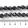 Natural Larvikite Beads Strands G-NH0021-A04-01-5