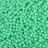 Opaque Acrylic Beads LS-SACR-A007-01B-23-3