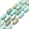 Natural Amazonite Beads Strands G-F715-057-1