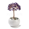 Natural Amethyst Chips Tree Decorations DJEW-M012-01G-1