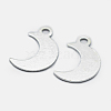 925 Sterling Silver Charms STER-I014-19S-3