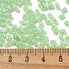 Ceylon Glass Seed Beads SEED-K009-02B-27-4