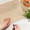 Rattan Net DIY-WH0304-630B-3