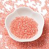 8/0 Glass Seed Beads SEED-Z001-C-E07-2