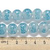 Handmade Lampwork Beads Strands LAMP-L079-05G-4