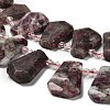 Natural Plum Blossom Tourmaline Beads Strands G-H078-A01-01-3