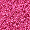 Baking Paint Glass Seed Beads SEED-P006-03A-32-3