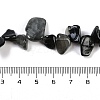 Natural Eagle Eye Stone Nuggets Beads Strands G-B125-A15-01-4