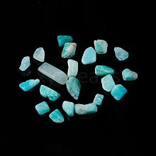 Natural Amazonite Chip Beads G-M364-04B