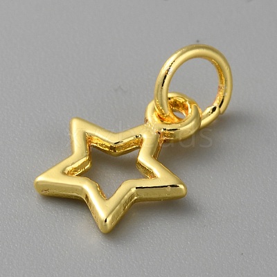 Alloy Pendants FIND-WH0159-63G-12-1
