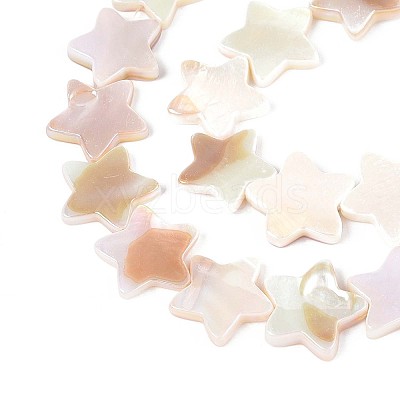 Natural Freshwater Shell Beads Strands SSHEL-N040-18-1