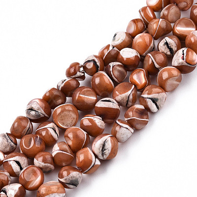 Natural Trochid Shell/Trochus Shell Beads Strands SSHEL-N032-48-A07-1