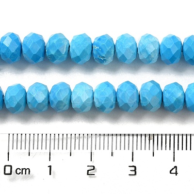 Dyed Natural Howlite Beads Strands G-G023-A01-01B-1
