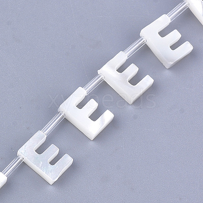 Sea Shell Beads LS-X-SHEL-T012-60E-1