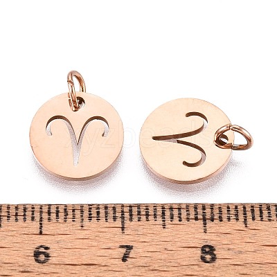 304 Stainless Steel Charms STAS-Q201-T445-1R-1
