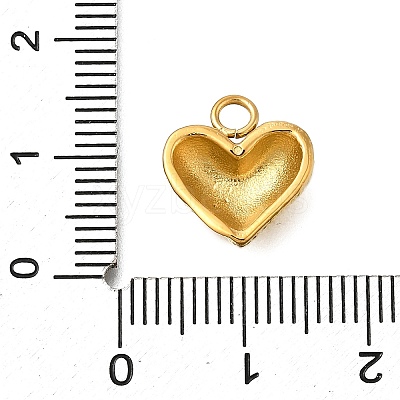 304 Stainless Steel Charms STAS-R159-08G-1