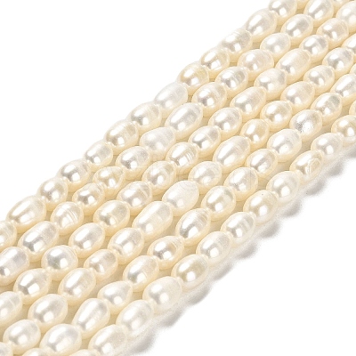 Natural Cultured Freshwater Pearl Beads Strands PEAR-E016-169-1