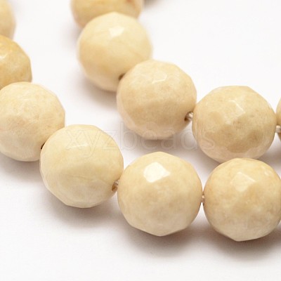 Natural Fossil Round Bead Strands G-O151-02-8mm-1