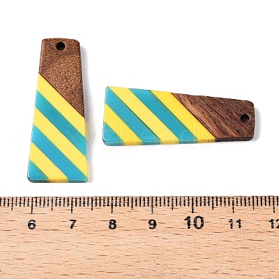 Epoxy Resin & Walnut Wood Pendants RESI-N039-121M-1