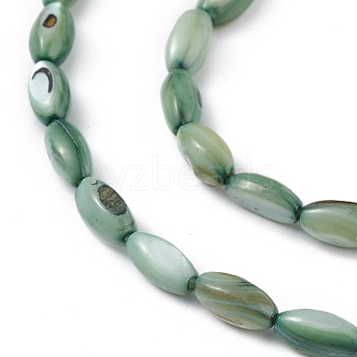 Natural Freshwater Shell Dyed Beads Strands X-SHEL-M018-13-11-1