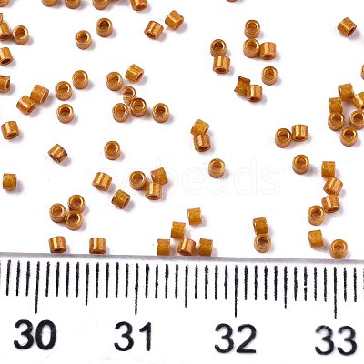 FGB 11/0 Grade A Baking Paint Glass Seed Beads X-SEED-S030-1030-1