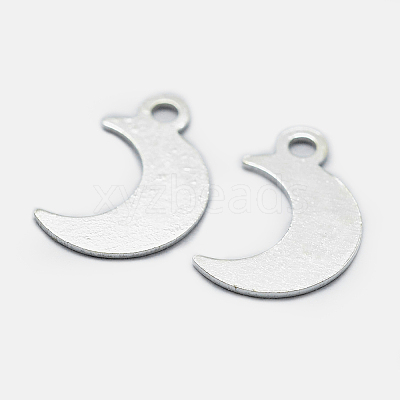 925 Sterling Silver Charms STER-I014-19S-1
