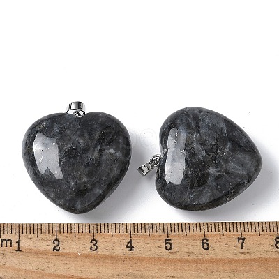 Natural Larvikite Pendants G-A259-02P-01-1