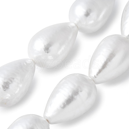 Electroplated Shell Pearl Beads Strands BSHE-F013-13-02-1