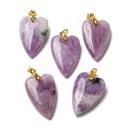 Natural Lepidolite Pendants G-E570-01G-14-1