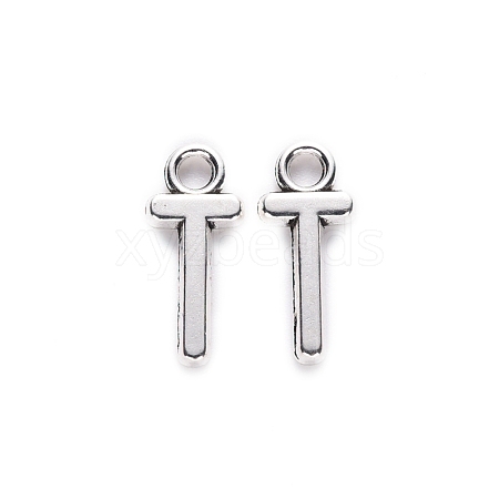 Tibetan Style Alloy Pendants TIBE-S108-108T-AS-RS-1