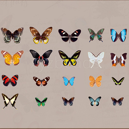 40Pcs 20 Style PET Waterproof Plastic Butterfly Sticker BUER-PW0001-077A-1