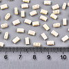 2-Hole Glass Seed Beads SEED-S031-M-SH1001F-2