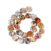 Natural Crazy Agate Beads Strands G-O120-13-3