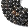 Natural Iolite Beads Strands G-K366-G02-01-4