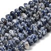 Natural Blue Spot Jasper Beads Strands G-L649-C01-01-2