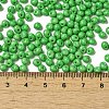 6/0 Opaque Baking Paint Glass Seed Beads SEED-M012-02A-06-4