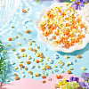 Mixed Styles Acrylic Beads SACR-TA0001-81E-5