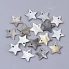 Black Lip Shell Charms SSHEL-S251-34A-1