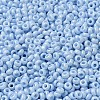 Baking Paint Glass Seed Beads SEED-P006-03A-21-3