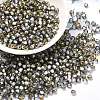 Glass Seed Beads SEED-H002-B-D218-1