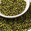 8/0 Opaque Colours Seep Glass Seed Beads SEED-F003-04B-04-1