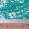 MIYUKI Delica Beads SEED-J020-DB0729-4