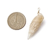 Natural Spiral Shell Pendants PALLOY-JF02951-2