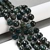 Natural Moss Agate Beads Strands G-NH0010-B01-01-2