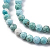 Natural HuBei Turquoise Beads Strands G-B130-A01-03-3