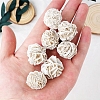 Natural Desert Rose Stone Display Decorations DJEW-PW0009-006A-006-2