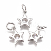 Brass Micro Pave Cubic Zirconia Charms ZIRC-F111-09-08-2